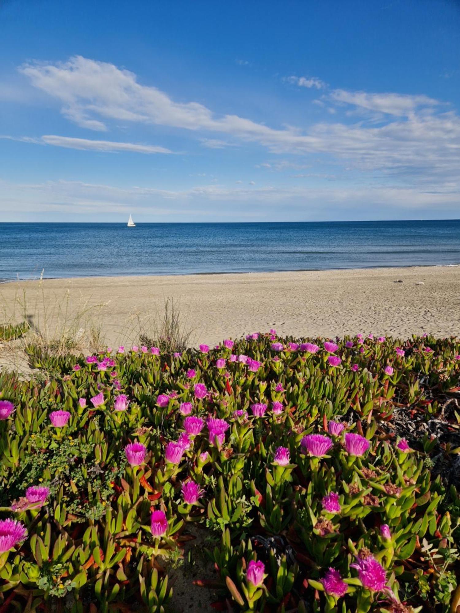Village Naturiste Appart Sensuel Agde Exterior foto